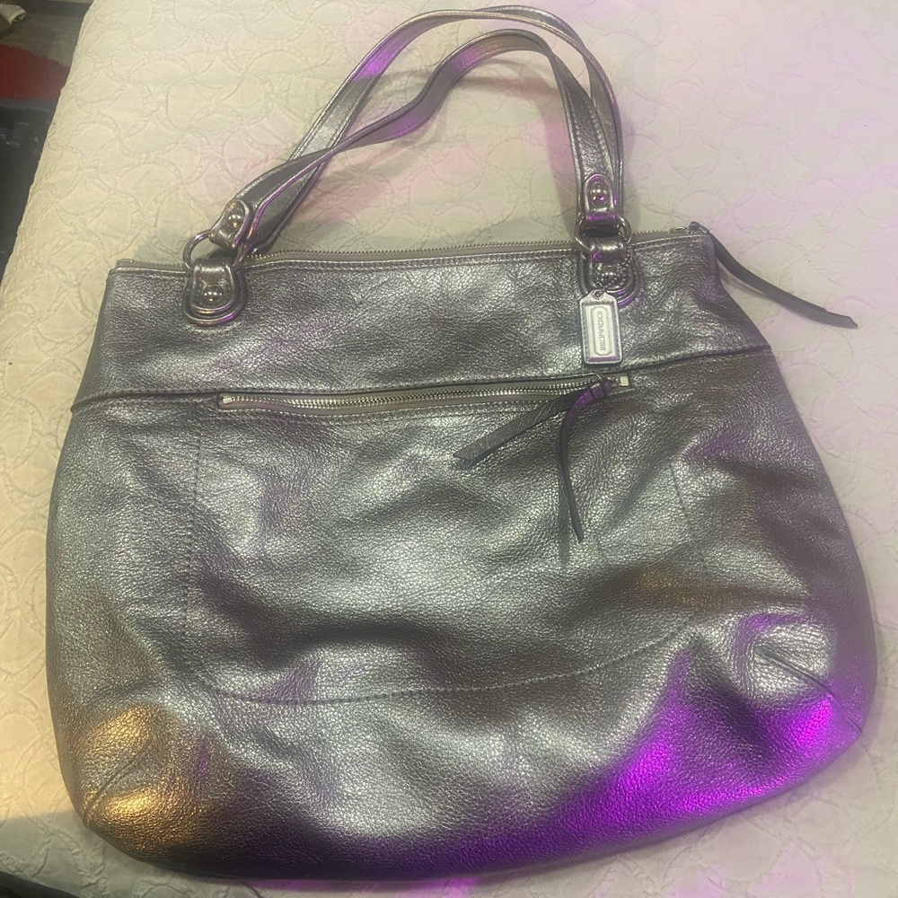 COACH LEATHER Silver Metallic Women's Bag